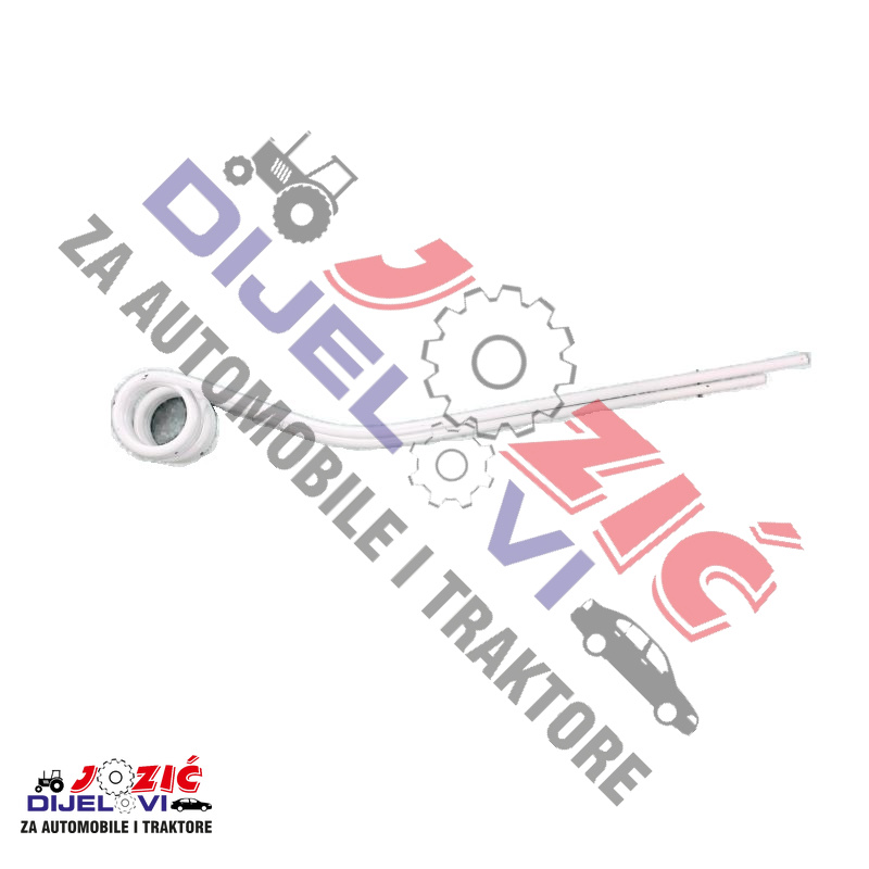 Daisy on the Ohoopee